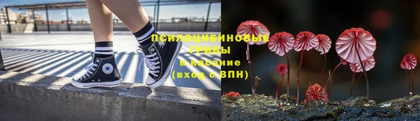 сатива Балабаново