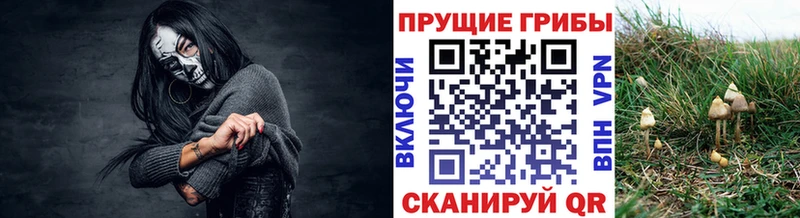 Галлюциногенные грибы прущие грибы  KRAKEN маркетплейс  Долгопрудный 
