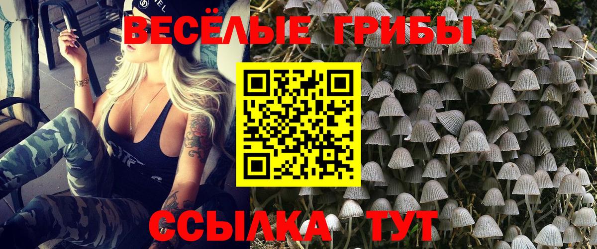 Галлюциногенные грибы мухоморы Долгопрудный